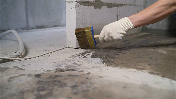 Top rated local Wet Basement Repair specialists in Line Lexington, PA